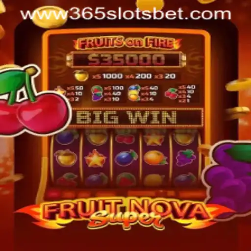365 slots Casino App