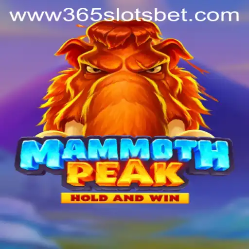 365 slots Casino App